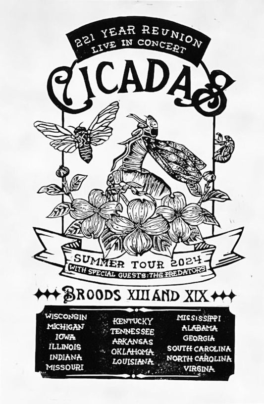 Cicada Concert Tour 2024 | Original Linocut